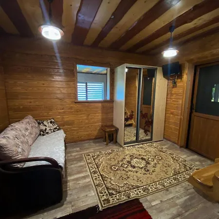 Near Waterfall * Szkole